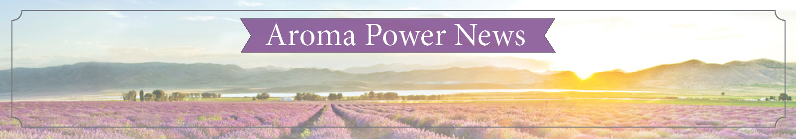 aroma-power-news-header