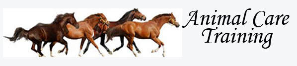 Animal Care Training