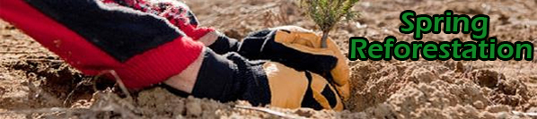 2016 Spring Reforestation