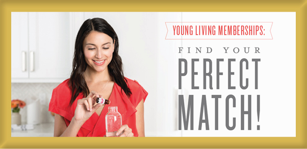 Types of YL Memberships