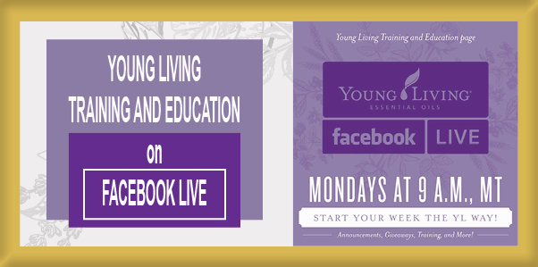 YL Training & Education